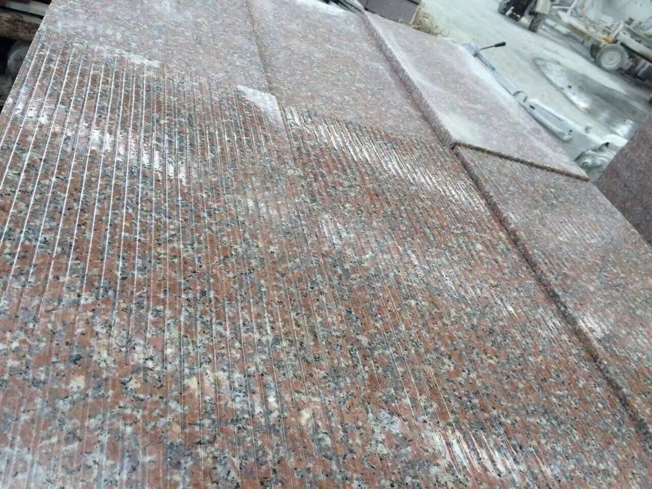五蓮紅光面